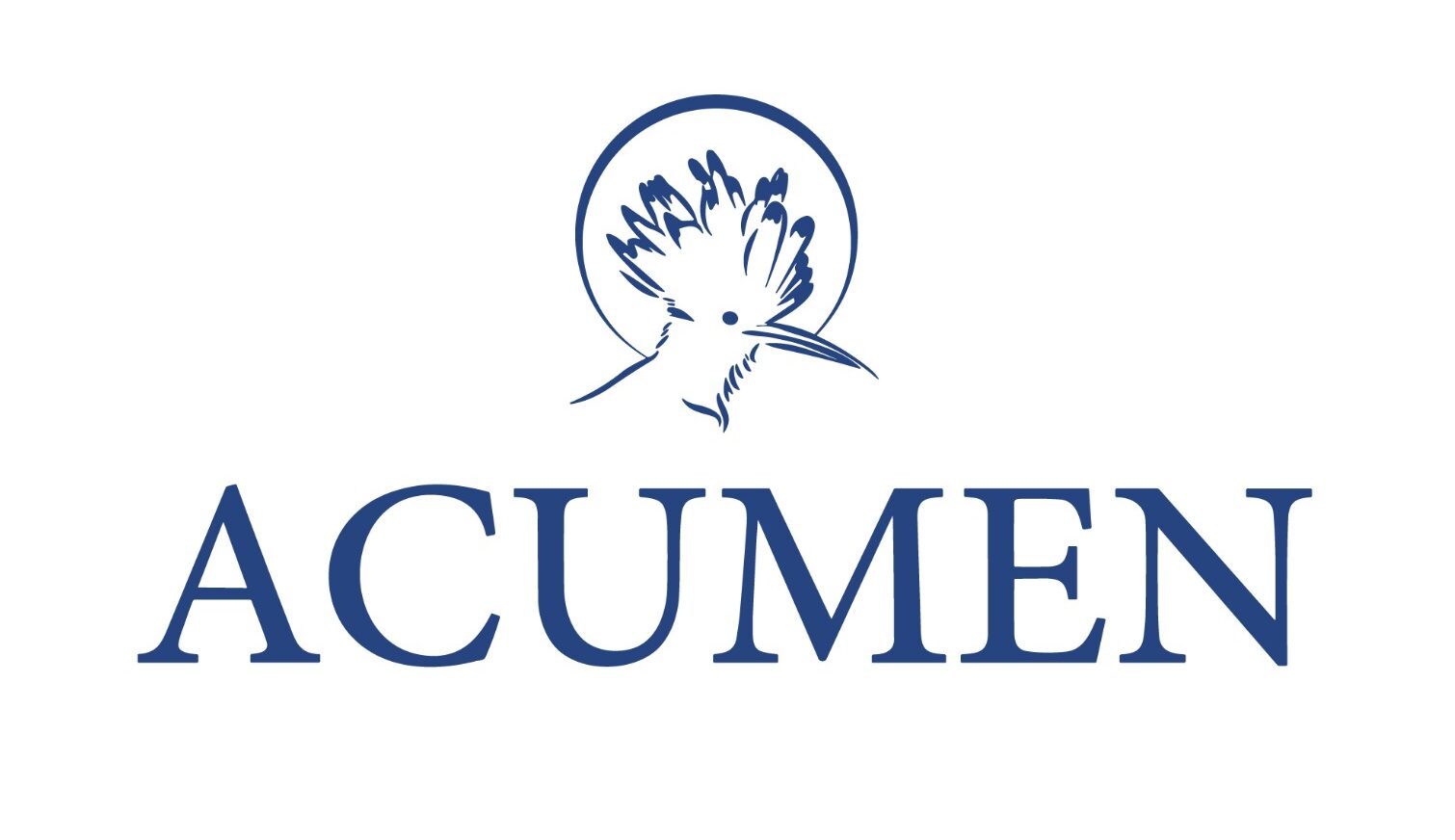 Acumen